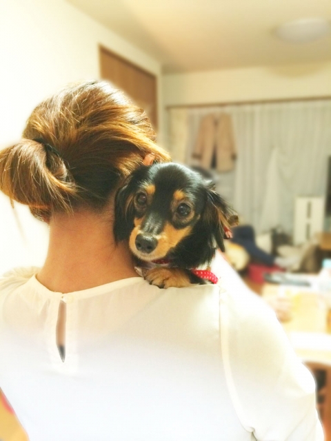 抱っこされる犬